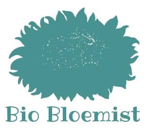 Logo met bedrijfsnaam